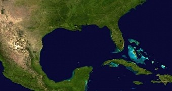 Yet another dead zone will form in the Gulf of Mexico this year