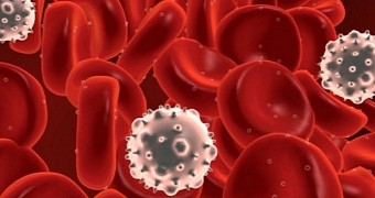 Study finds leukemia cells can be compelled to turn into immune cells