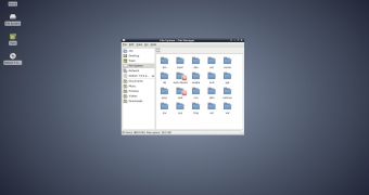 Debian desktop