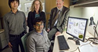 Mohan Sarovar (seated) and (from left) Akihito Ishizaki, Birgitta Whaley and Graham Fleming carried out the first observation and characterization of quantum entanglement in a real biological system