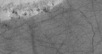 Deciphering the Mystery of Mars' Dust Devils
