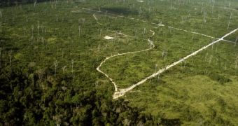 Conservationists still concerned about deforestation rates in the Brazilian Amazon