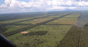 Massive deforestation changes precipitation cycles for the remaining forests