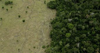 Deforestation in the Amazon drops to a record low