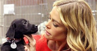 Denise Richards Rescues Puppy Left Homeless by Sandy