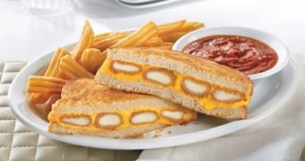 Denny’s Comes Out with Fried Cheese Melt Sandwich