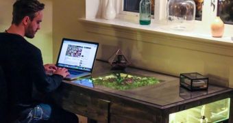 Designer creates innovative terrarium desk
