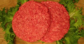 16 people in the US fall sick with salmonella after eating contaminated ground beef