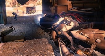 Sparrow racing might be a thing later on