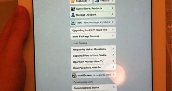 iPad 2 running Cydia (experimental)