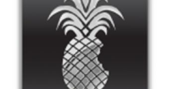 Redsn0w jailbreak tool application icon