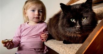 The black cat now holds the nickname of “Devil Cat” after attacking a handful of locals