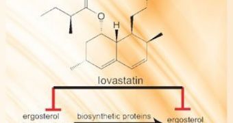 Copper and zinc increased levels of ergosterol and related intermediates in the presence of lovastatin