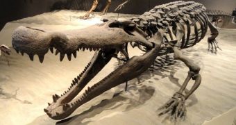 Evidence suggests ancient crocodiles used death rolls to feed on dinosaurs, large mammals