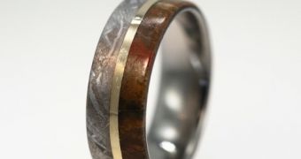 Dinosaur Bone and Meteorite Pieces Mixed for the Perfect Wedding Rings