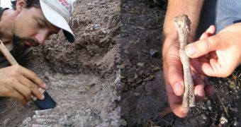 Left: A team member excavates a fossil in Tanzania. Right: Silesaur bone