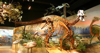 Hadrosaur skeleton at North Carolina Museum of Natural Sciences: Prehistoric North Carolina