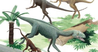 Two dinosaurs (up) and two dinosauromorphs (bellow). Dromomeron romeri (lower left) is among a trove of fossils found in New Mexico that suggests that the rise of dinosaurs was gradual rather than sudden