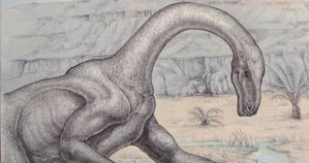 Dinosaurs Were Ingenious Rather than Fierce Predators