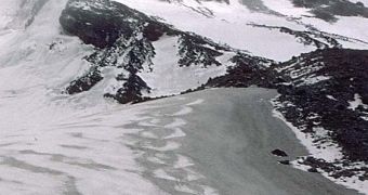 Dirty Snow Counts for 50 % of the Arctic Ice Melting