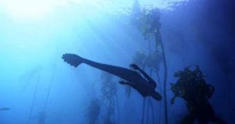 New Discovery documentary aims to show mermaids are real, hiding from human eyes