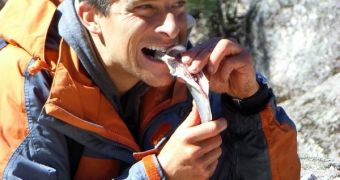 Discovery Fires Bear Grylls over Money Issues