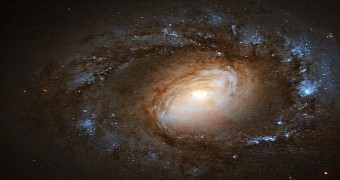 Distant Galaxy's Anatomy Revealed in Stunning Hubble Space Image