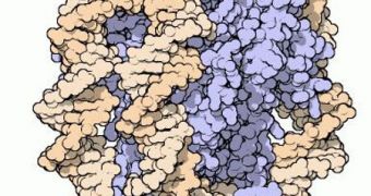 Distribution of Nucleosomes Inside Cells Understood