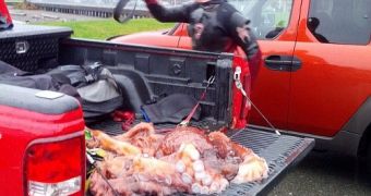 Diver Takes Live Giant Octopus Home and Eats It