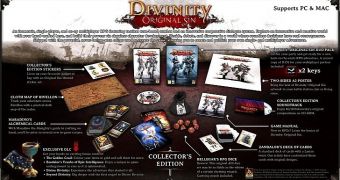Divinity: Original Sin Collector's Edition