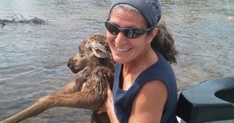 Baby moose rescued from drowning by doctor