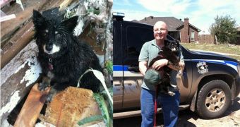 Dog Guarding Tornado Victim's Body Reunited with Owner