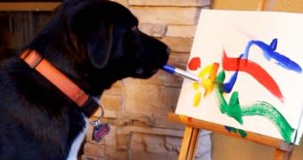 Dog paints to raise money for domestic violence victims