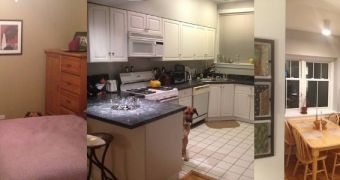 Craigslist apartment listing features a dog photobombing every picture