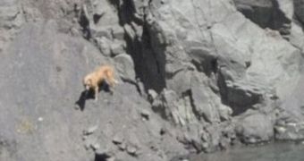 Underdog was rescued after eight days from a 700ft deep man-made hole