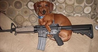 Dog Shoots Owner with a Rifle, Puts Him in the Hospital