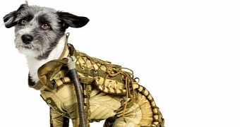 Dog Spacesuit Will Soon Be Auctioned Off in Berlin, Germany