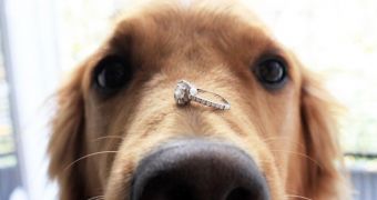 Woman is reunited with her wedding ring 6 six after her dog ate it