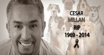 Cesar Millan, the famous Dog Whisperer, is not dead, despite viral report