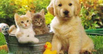 Dogs Are Better than Cats, Study Shows