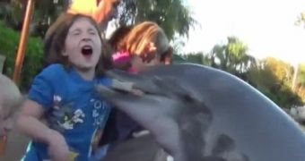 Dolphin Bites 8-Year-Old, SeaWorld Defends Protocols