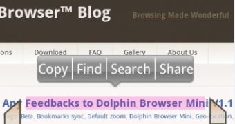 Dolphin Browser Mini V1.1