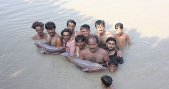 Stranded dolphin calves are rescued by conservationists in Pakistan