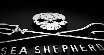 Dolphin Hunt Begins in Japan, Sea Shepherd Is There to Expose Its Horrors