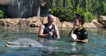 Dolphin at SeaWorld in Orlando helps man propose to his girlfriend of three years