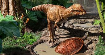 Dome-headed dinosaurs resorted to head butting to solve conflicts