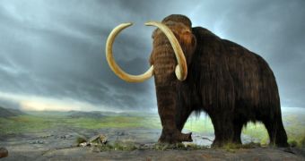 Researcher believes domestic dogs helped early modern humans hunt mammoths
