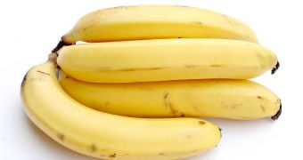 Banana peels contain significant amounts of dopamine