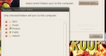 The new Selective sync options in Dropbox 0.8.64