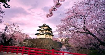 Windows 7 Cherry Blossom Theme